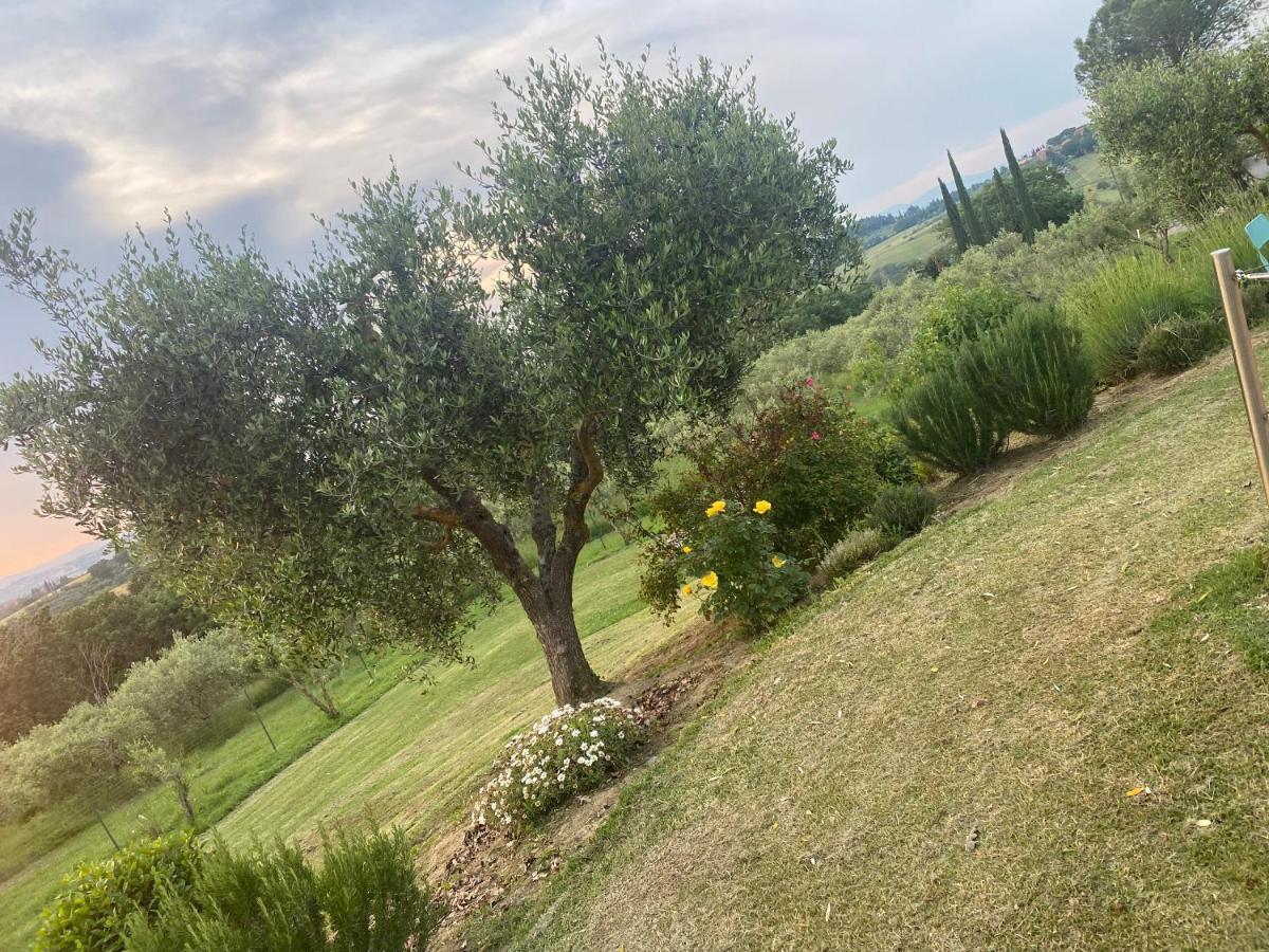 Agriturismo Palazzo Val Del Sasso Villastrada  Extérieur photo