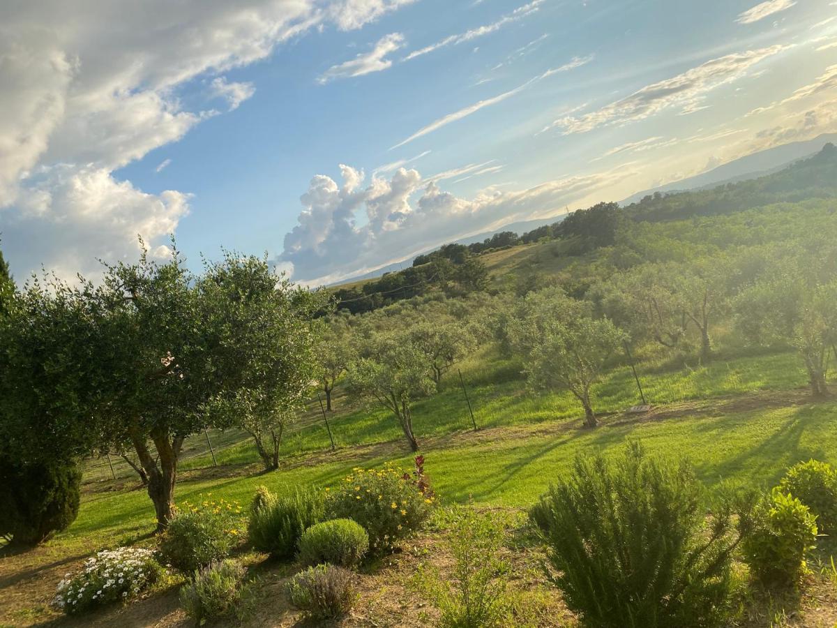 Agriturismo Palazzo Val Del Sasso Villastrada  Extérieur photo